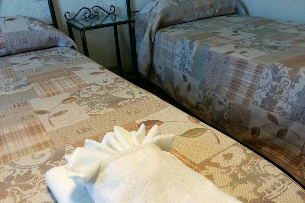 Apartamento Al-Zhara, Junto Puente Romano Apartment Kordoba Bagian luar foto